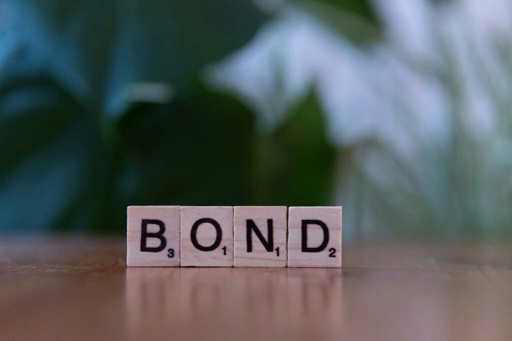 what are bonds and how do they work?
